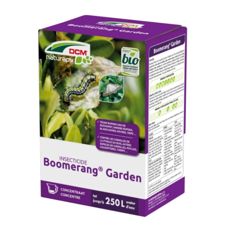 Boomerang Garden - DCM