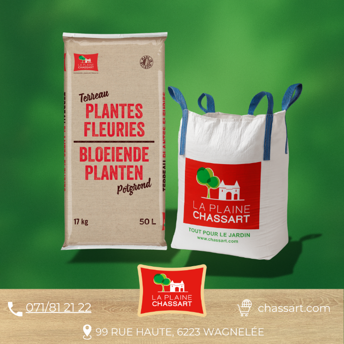 Terreau Plantes Grasses R&R SHOP - 3L - Bio Et Professionnel - Matières Premières Européennes